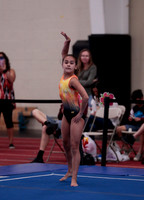 Shannon C