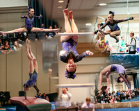 IScollage2