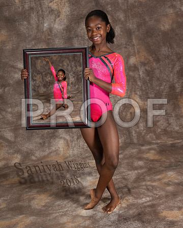 Saniyah Frame Collage 2018