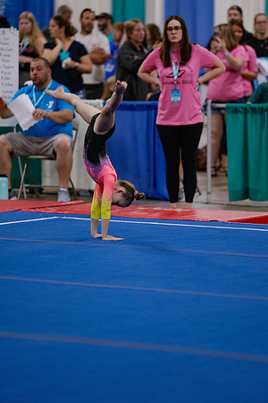 _MS_0025 (2)