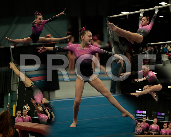 DGcollage
