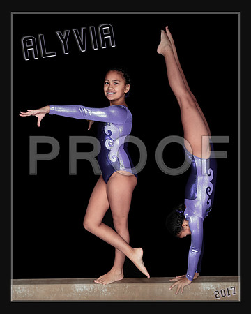 Alyvia Ware Collage I