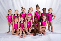 132Minis Team - 3278 Choice - Fixed