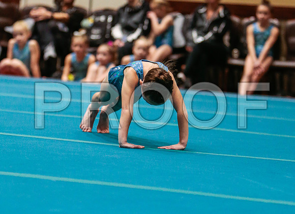 _60_9655