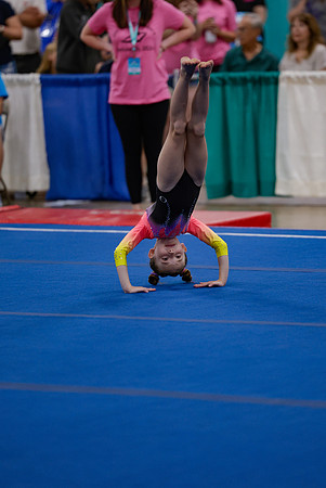 _MS_0032 (2)