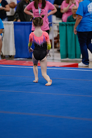 _MS_0041 (2)
