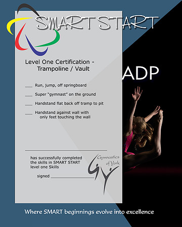 Certificate - Level 1 SMART START v2 Trampoline-Vault