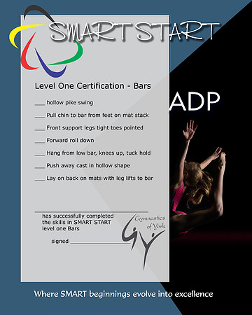 Certificate - Level 1 SMART START v2 Bars