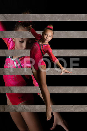 Bridgett float Collage v2