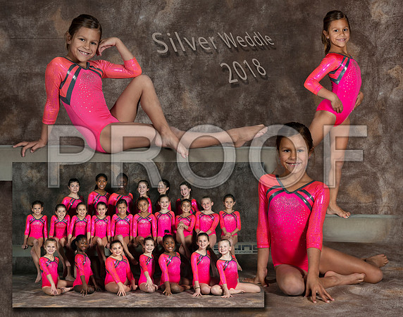 Silver - J Collage