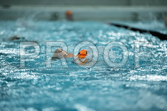 _61_0644