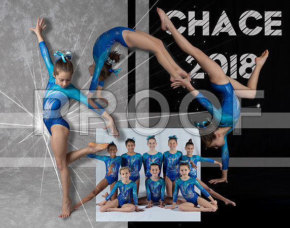 _61_5643 Chace 11x14 plus level 4