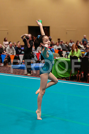 _60_1101