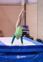 Elyse W