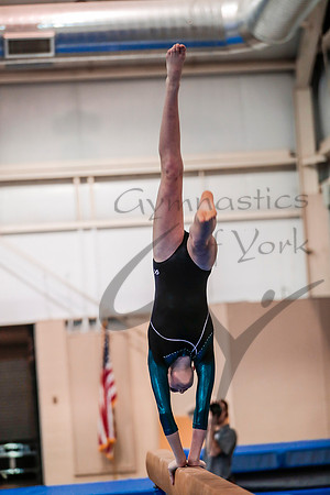 _61_1306