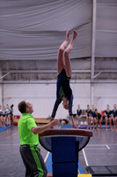 Brinley V