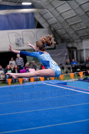 _61_8027