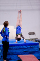 _81_7065