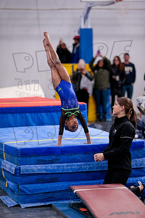 _81_6982