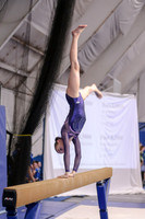 Kiara D