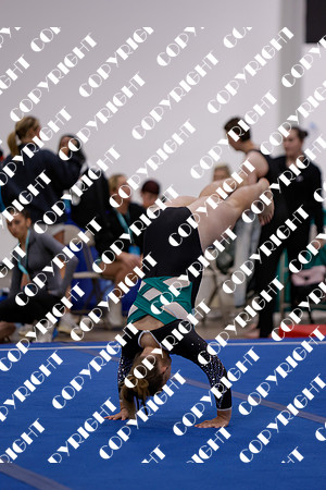 _29A0026