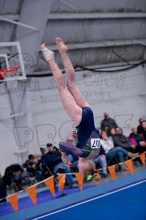 _61_6636