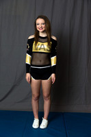 Vipers 2 - Toxic/Poison- Sam Fritz
