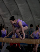 Kinsley S