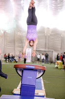 Gianna D