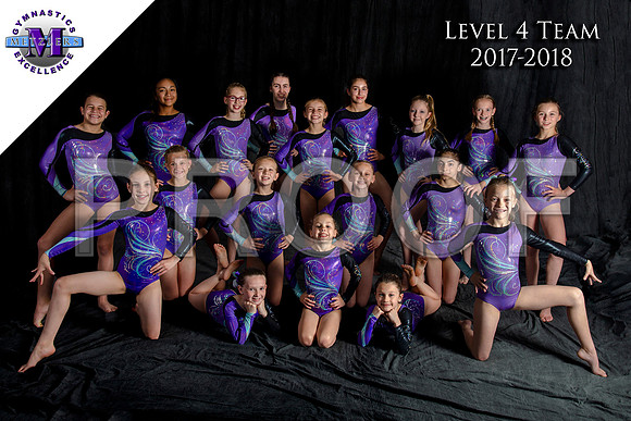 Level 4 Team - logo