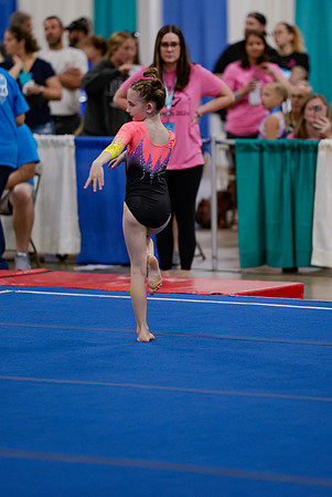 _MS_0043 (2)