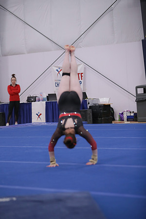 JMS_6264