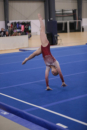 JMS_2524