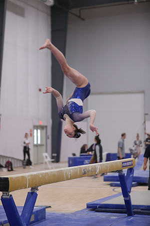 JMS_3560