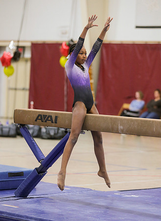 j3687321