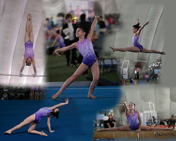 Accollage2