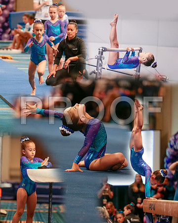CCcollage2