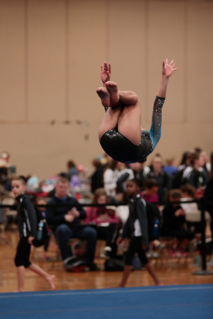 _60L4396