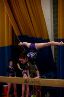 Endless Mountain Gymnastics