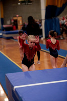 Ainsley M - Bars and Vault