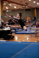 Berks East Gymnastics