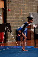 Dheekshitha V