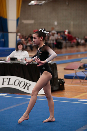 _60L3131