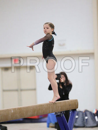 j3680529