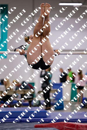 _12A0060