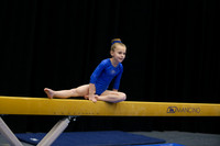 Ashlyn C