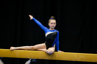 Haley C