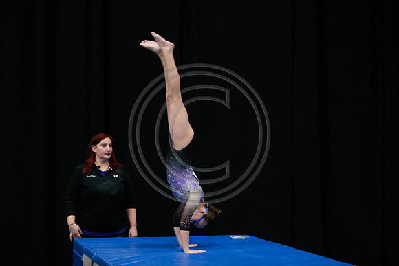 _81_8393