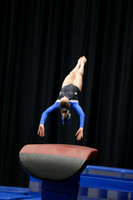 Amelia M