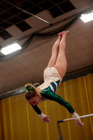 Berks Gymnastics